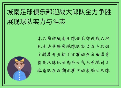 城南足球俱乐部迎战大邱队全力争胜展现球队实力与斗志