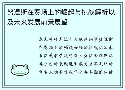 努涅斯在赛场上的崛起与挑战解析以及未来发展前景展望